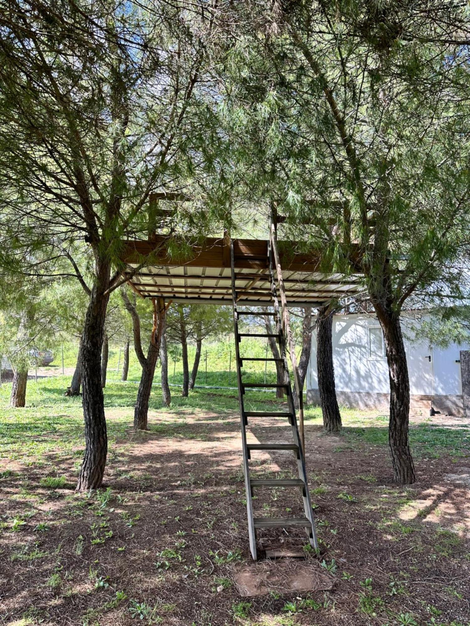 Bungalow Bambolera Torrelaguna Zewnętrze zdjęcie